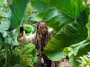 Pirates des Caraibes 4