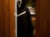Scream 4