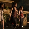 Sorority Row