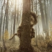 Where The Wild Things Are